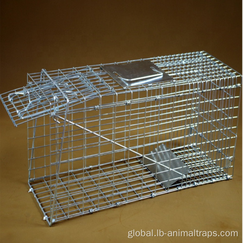 Live Animal Cage Trap Squirrel Cage Trap With Foot Paddle Factory